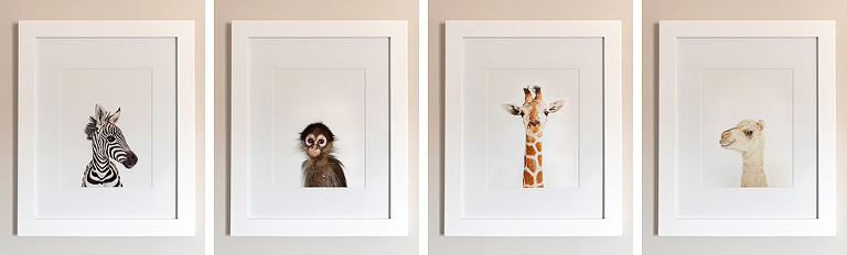 13 baby animals nursery(pp w768 h232) - Our Nursery