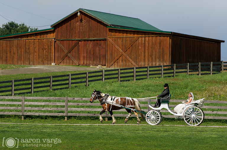 09 horse carriage wedding(pp w768 h510) - Kristina + Andy | Lingrow Farm Wedding Photos