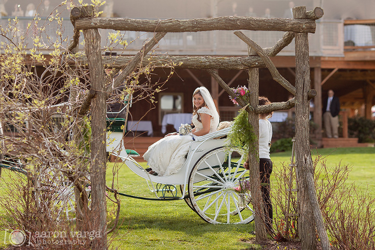 10 bride horse carriage(pp w768 h512) - Kristina + Andy | Lingrow Farm Wedding Photos