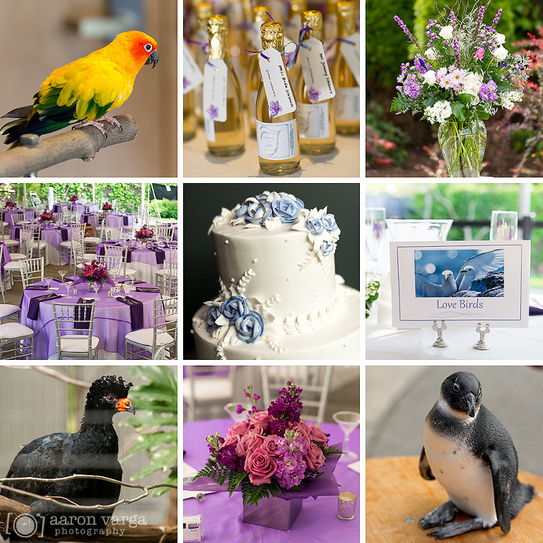 28 birds and wedding details aviary(pp w768 h768) - National Aviary Wedding