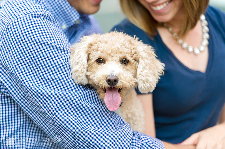 04 Downtown Pittsburgh Dog Photo(pp w768 h510) - Alison + Mike | Downtown Pittsburgh Anniversary Photos