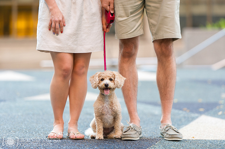06 family photo with dog(pp w768 h510) - Downtown Pittsburgh Anniversary Photos