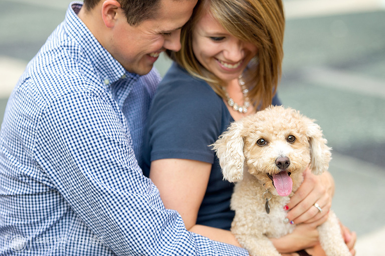 Downtown Pittsburgh Pet Photographers(pp w768 h511) - Sneak Peek! Alison + Mike | Downtown Pittsburgh Anniversary Photos