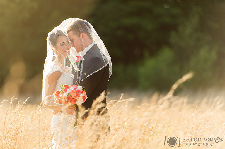 28 bride groom photos in field(pp w768 h510) - Hilton Garden Inn Southpointe Wedding