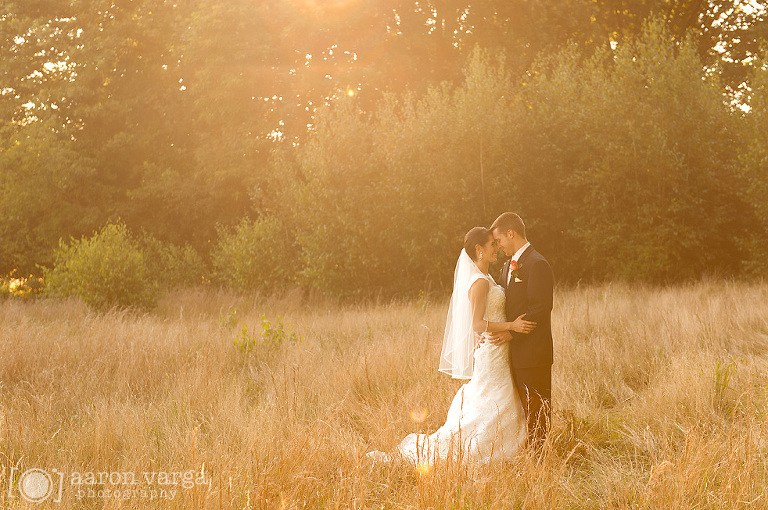 34 sunset wedding photo in field(pp w768 h510) - Hilton Garden Inn Southpointe Wedding