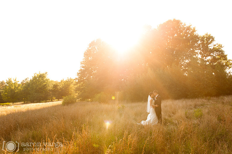 35 wedding photo at sunset(pp w768 h510) - Hilton Garden Inn Southpointe Wedding