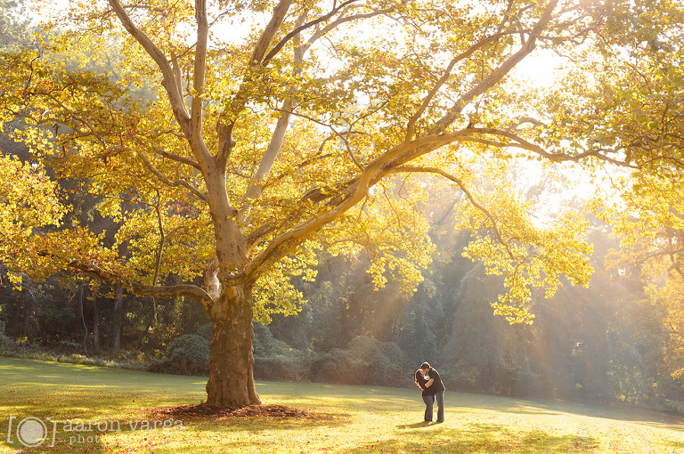 01 fall engagement(pp w768 h510) - Kacie + Trevor | Schenley Park and Mt. Washington Engagement Photos