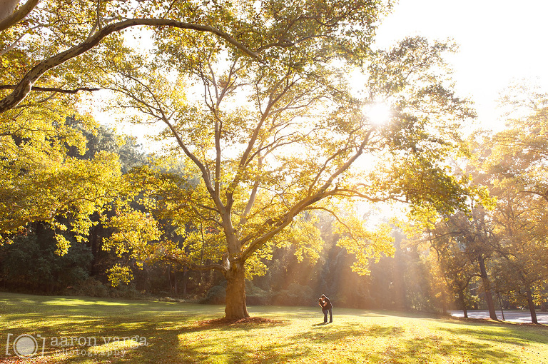 02 fall engagement photos(pp w768 h510) - Kacie + Trevor | Schenley Park and Mt. Washington Engagement Photos