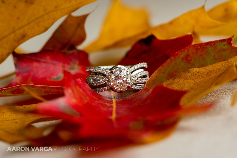 03 fall themed wedding and engagement rings(pp w768 h511) - Best of 2014: Rings