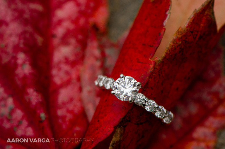06 fall engagement ring photo(pp w768 h511) - Best of 2014: Rings
