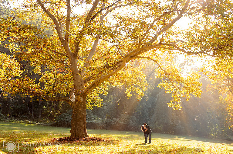 02 schenley park fall engagement(pp w768 h510) - 2014: Year in Review