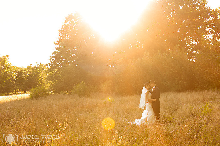 06 sunset wedding photo field(pp w768 h510) - 2014: Year in Review