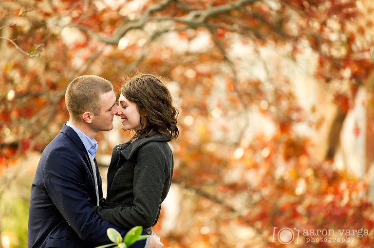 37 fall engagement mellon park(pp w768 h510) - 2014: Year in Review