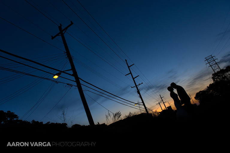 10 silhouette wedding photo(pp w768 h511) - Best of 2014: End of the Night Portraits