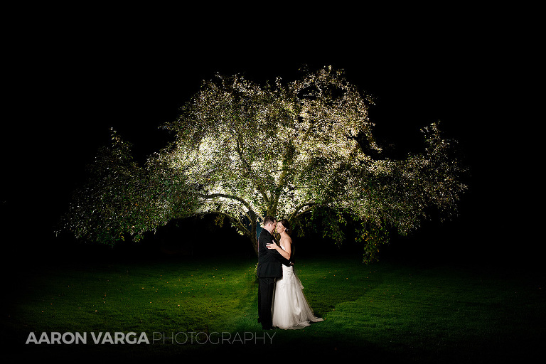 44 off camera flash light tree(pp w768 h512) - Alison + Matt | Butler Country Club Wedding Photos