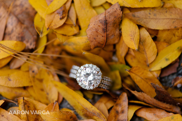 03 huge triple band engagement ring(pp w768 h512) - Gina + Chris | Oglebay Resort Wedding Photos