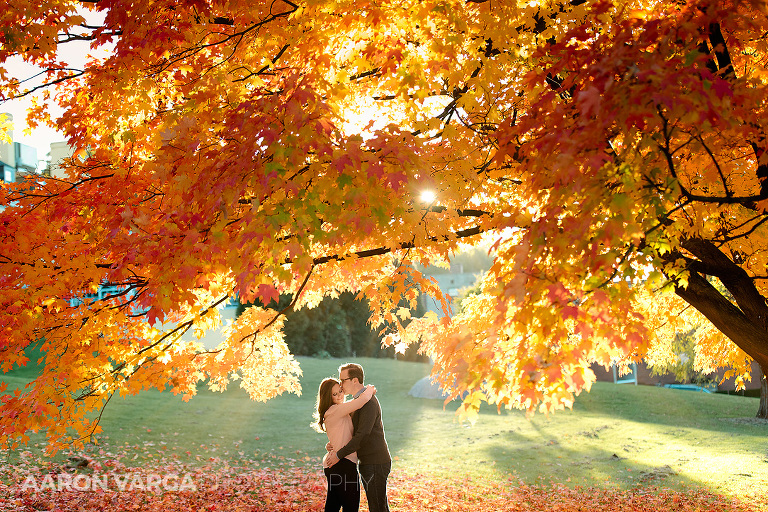 20 mellon park engagement photos fall(pp w768 h512) - Dina + Brendan | Washington's Landing and Mellon Park Engagement