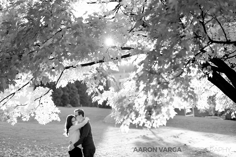 21 mellon park engagement black white(pp w768 h512) - Dina + Brendan | Washington's Landing and Mellon Park Engagement
