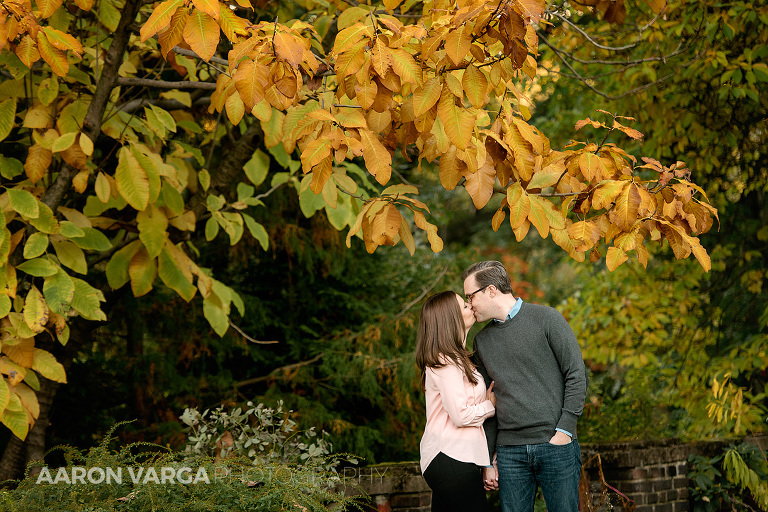 28 mellon park fall leaves photo(pp w768 h512) - Dina + Brendan | Washington's Landing and Mellon Park Engagement