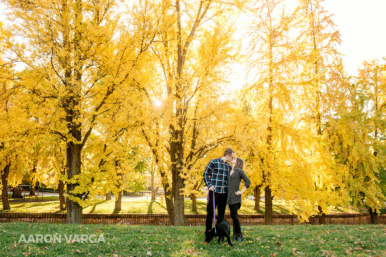 13 fall trees engagement photo(pp w768 h512) - Kelsey + Mike | West Park and Mt. Washington Engagement Photos