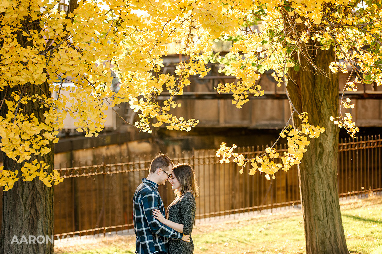 14 fall yellow trees engagement(pp w768 h512) - Kelsey + Mike | West Park and Mt. Washington Engagement Photos