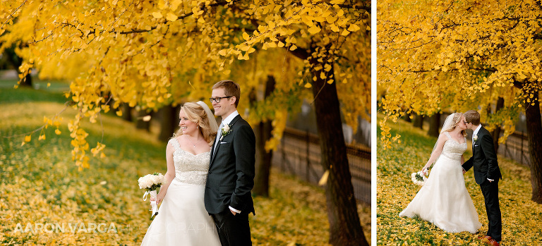 28 yellow trees fall wedding(pp w768 h349) - Heidi + Will | Old Saint Luke's and Pittsburgh Opera Wedding Photos