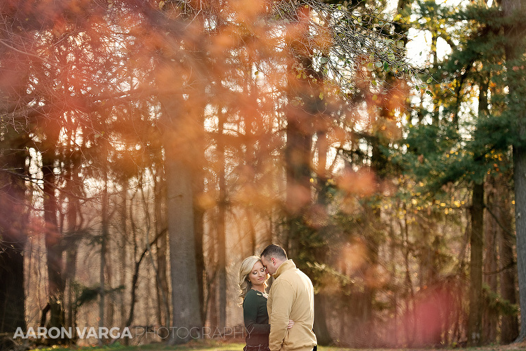 14 fall engagement hartwood acres mansion(pp w768 h512) - Stephanie + John | Hartwood Acres Mansion Engagement Photos