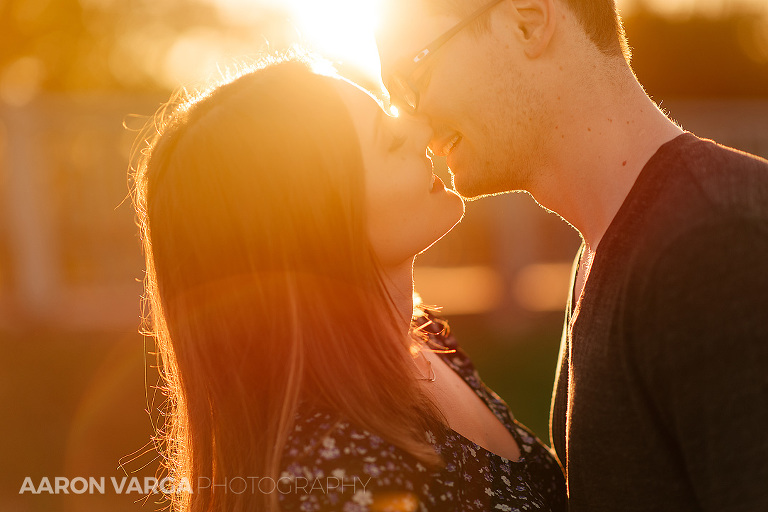 21 epic fall light engagement photos(pp w768 h512) - 2015: Year in Review