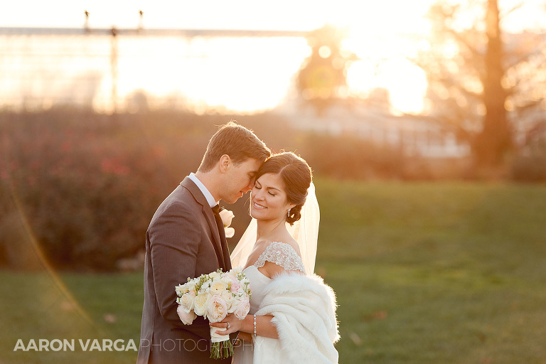42 phipps conservatory winter wedding(pp w768 h512) - 2015: Year in Review