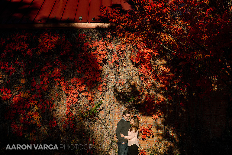 48 harsh light engagement photo(pp w768 h512) - 2015: Year in Review
