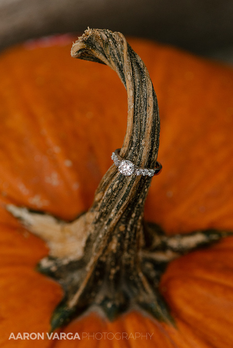 04 pumpkin fall diamond engagement ring(pp w480 h718) - Best of 2015: Rings
