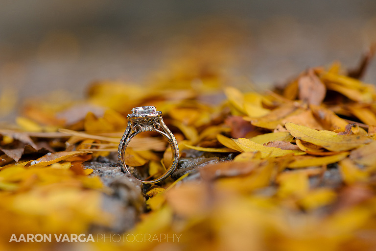 12 fall triple band diamond engagemeng ring(pp w768 h512) - Best of 2015: Rings
