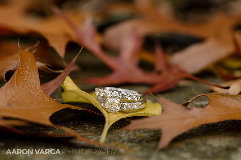 22 wedding and engagement rings on leaf(pp w768 h512) - Best of 2015: Rings