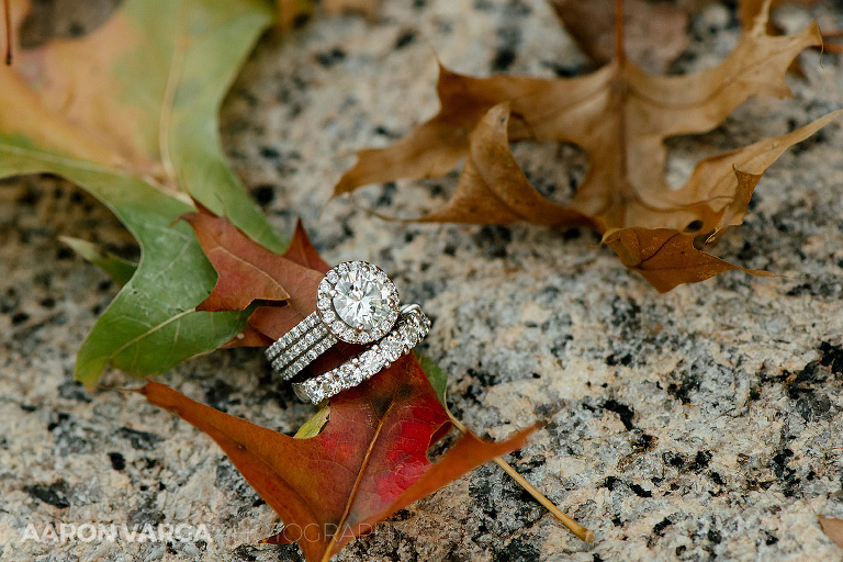 31 huge engagement ring fall(pp w768 h512) - Best of 2015: Rings