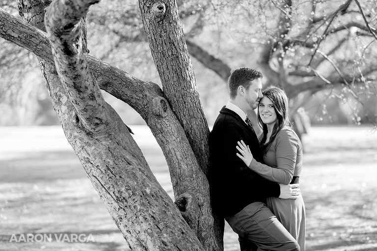 01 north park engagement tree(pp w768 h512) - Lindsey + Sean | North Park Engagement Photos