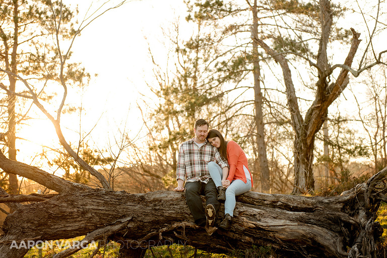 18 engagement photos tree log(pp w768 h512) - North Park Engagement
