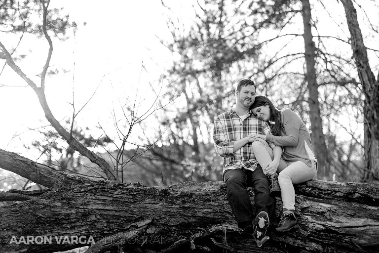 19 engagement photos sunset tree(pp w768 h512) - North Park Engagement