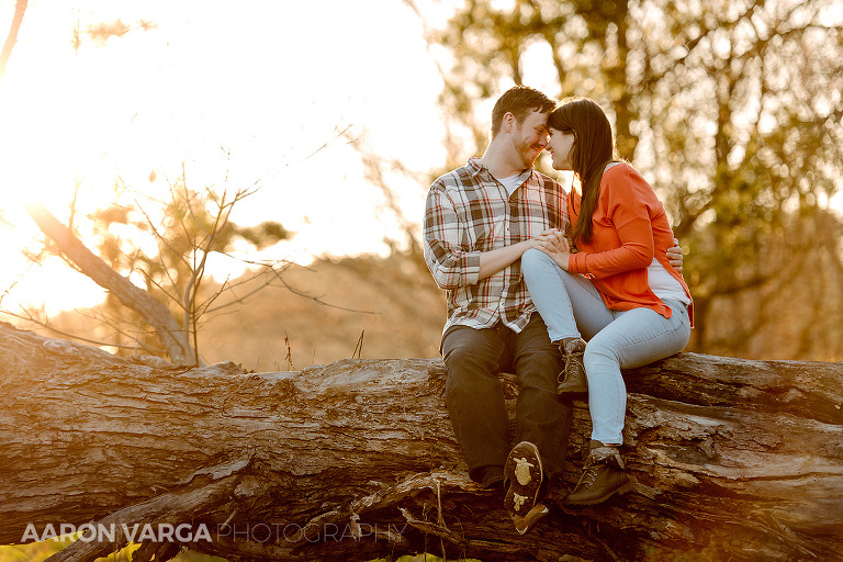 20 engagement at north park(pp w768 h512) - North Park Engagement