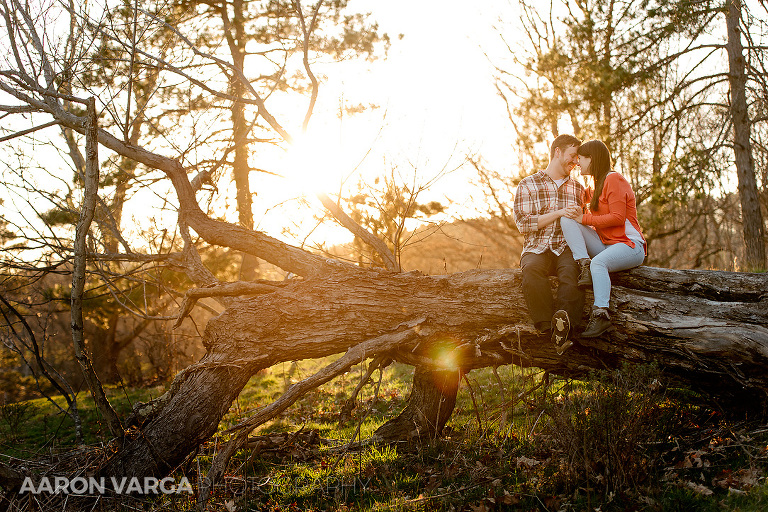 North Park Engagement(pp w768 h512) - Sneak Peek! Lindsey + Sean | North Park Engagement Photos