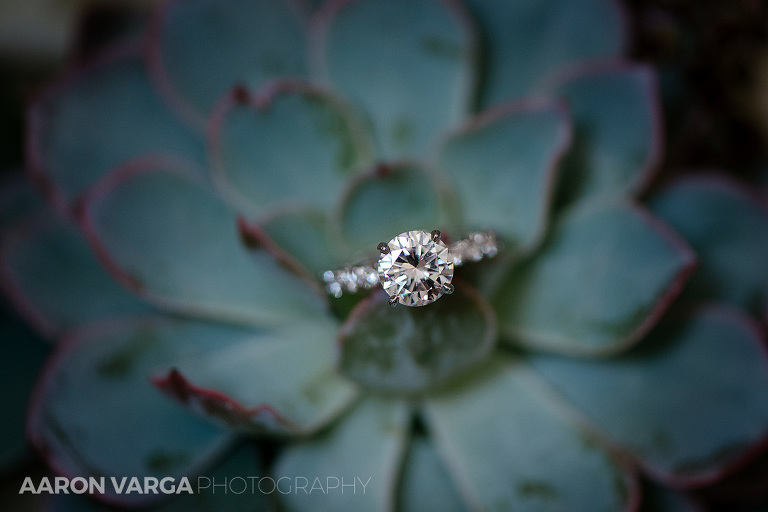 01 succulent wedding flowers(pp w768 h512) - Megan + Robert | Longue Vue Club Wedding Photos