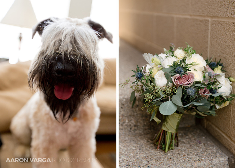 08 puppy wedding(pp w768 h549) - Samantha + Jeff | Lawrenceville and Pittsburgh Opera Wedding Photos
