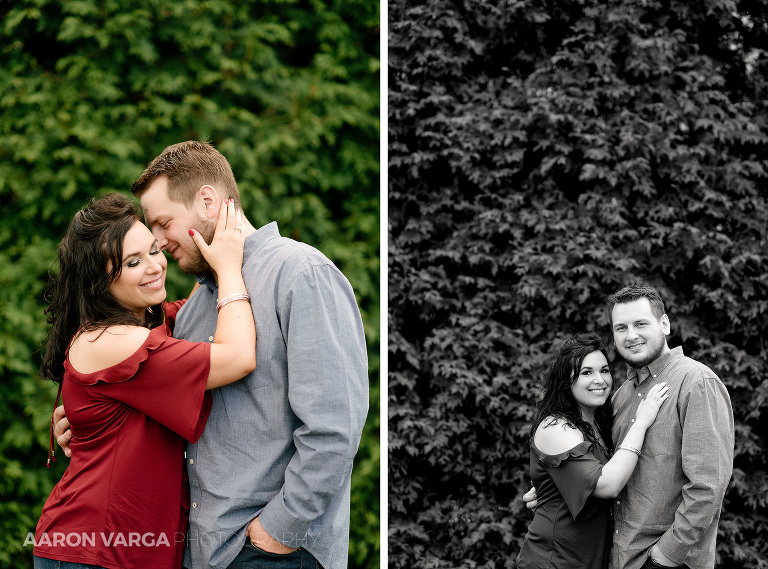 17 engagement photos at phipps(pp w768 h569) - Shauna + Glenn | Schenley Park and North Shore Engagement Photos
