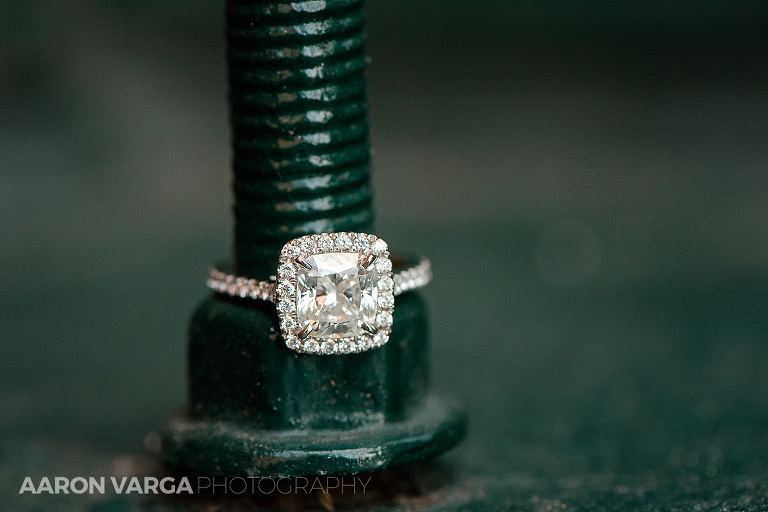 06 huge engagement ring(pp w768 h512) - Amie + Ben | Heinz History Center Wedding Photos