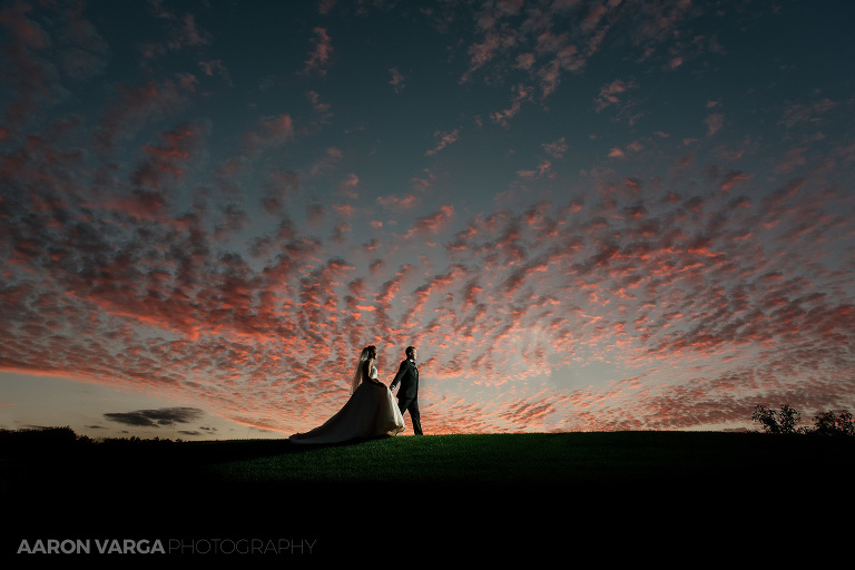 Southpointe Golf Club Wedding(pp w768 h512) - Sneak Peek! Dina + Brendan | Southpointe Golf Club Wedding Photos