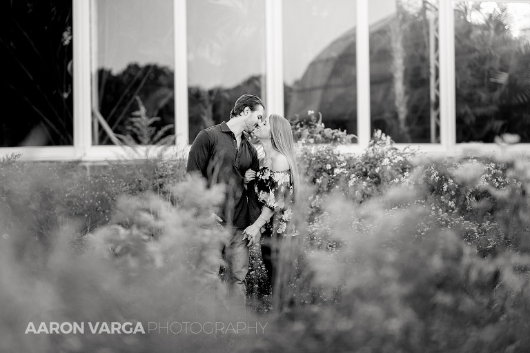 18 phipps conservatory schenley park(pp w768 h512) - Alexis + Matt | Mellon Park and Phipps Conservatory Engagement Photos