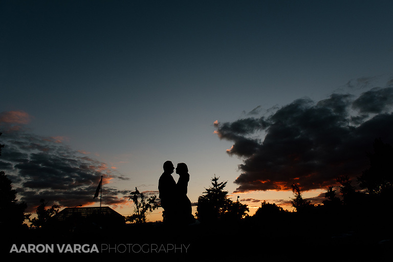 28 silhouette engagement photos phipps(pp w768 h512) - Amanda + Keith | Mellon Park and Schenley Park Engagement Photos