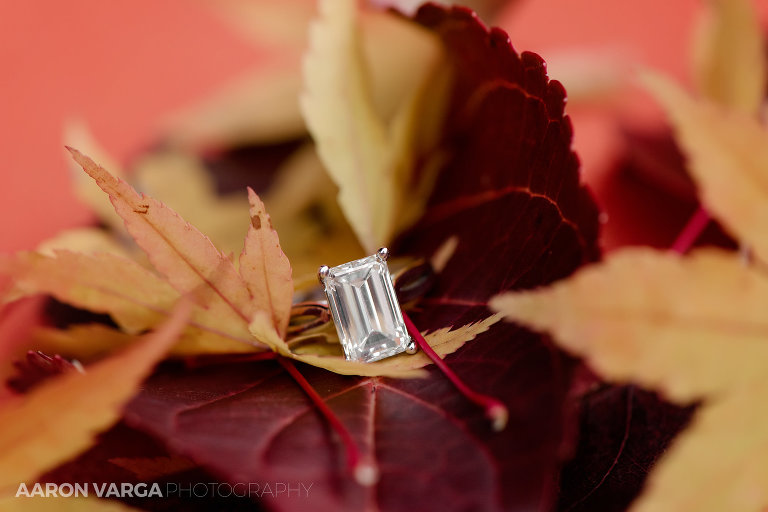 08 st clair country club engagement ring 1(pp w768 h512) - Katie + Michael | St. Clair Country Club and Peters Lake Park Engagement