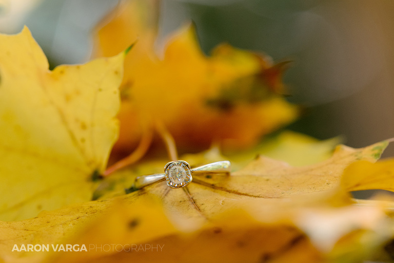 01 fall wedding photographers(pp w768 h512) - Lindsey + Sean | Syria Shrine Wedding Photos