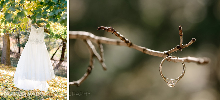 03 fall wedding dress(pp w768 h350) - Lindsey + Sean | Syria Shrine Wedding Photos