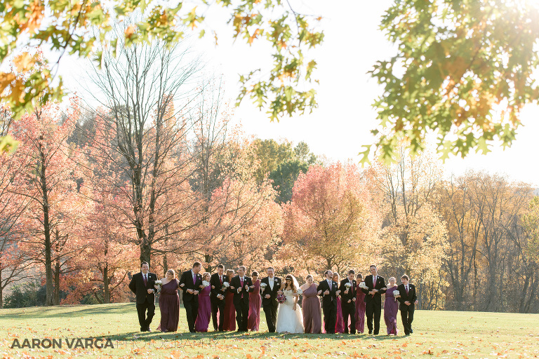 14 boyce park wedding bridal party(pp w768 h512) - Lindsey + Sean | Syria Shrine Wedding Photos